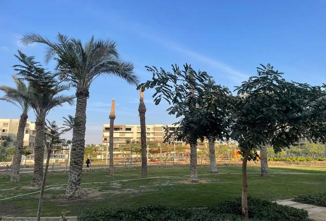 7993291 - صورة العقار 2