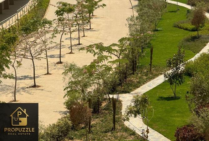 8266531 - Property Image 3