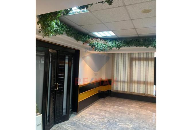 8049281 - Property Image 3