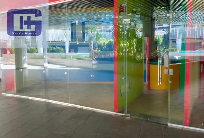 8174234 - Property Image 3