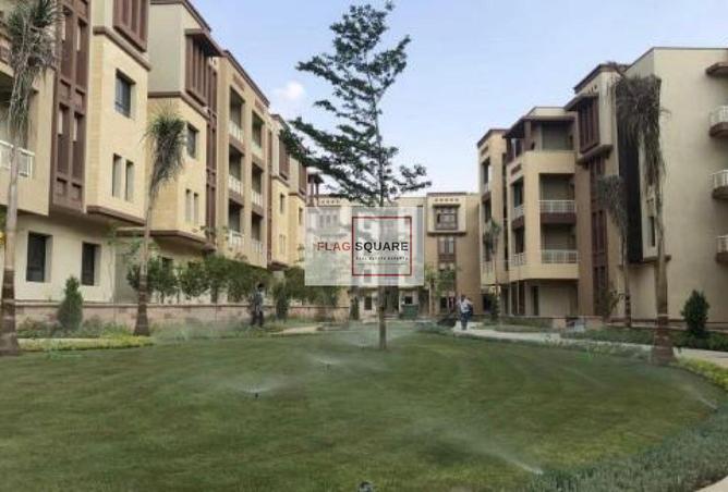 7914542 - صورة العقار 3