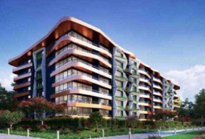 8441041 - Property Main Image