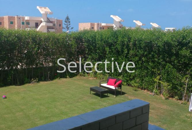 8177653 - الصورة الرئيسية للعقار