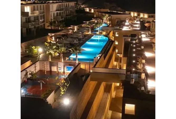 8419177 - Property Image 3