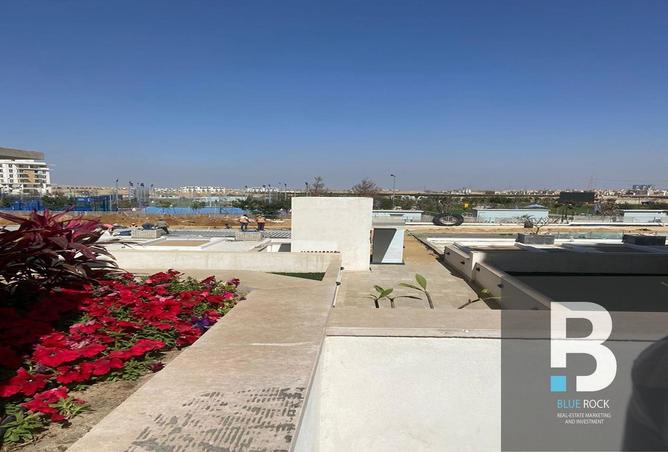 7966391 - صورة العقار 2