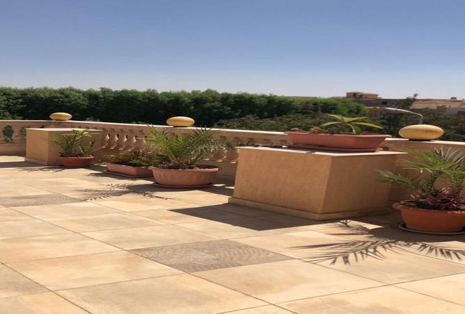 7895925 - صورة العقار 2