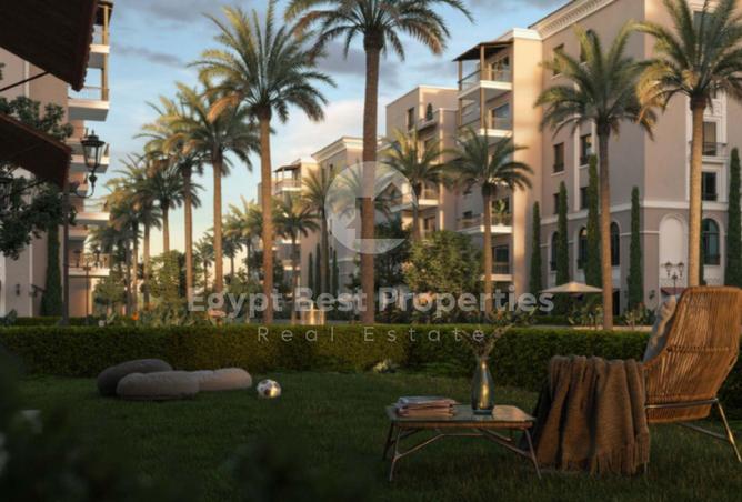 8196764 - Property Image 3