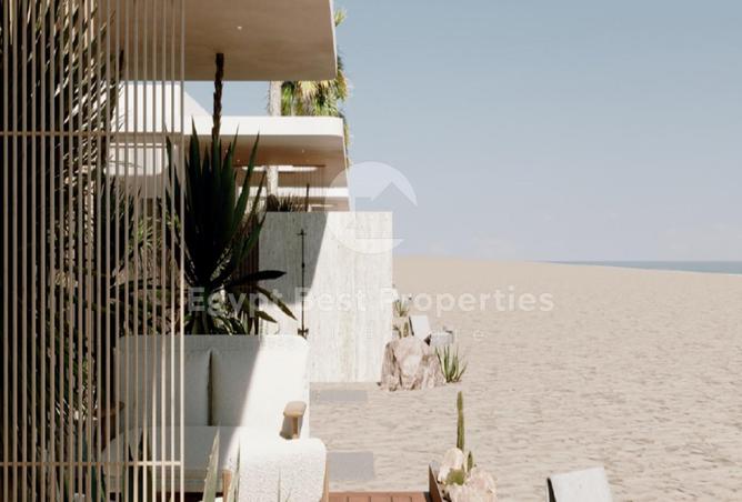 8384730 - Property Image 3