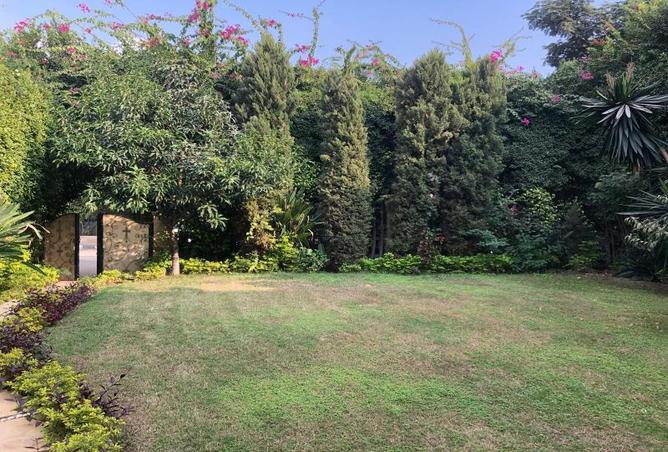 8018024 - الصورة الرئيسية للعقار