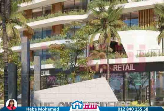 7906378 - Property Image 2