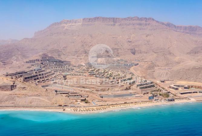 8421017 - صورة العقار 3