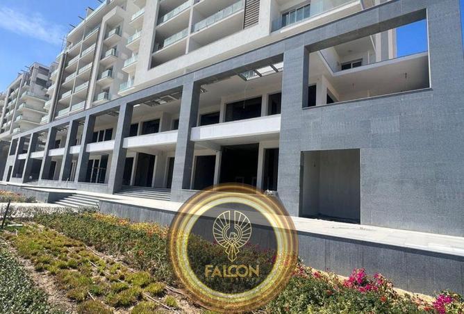 8276292 - Property Image 3