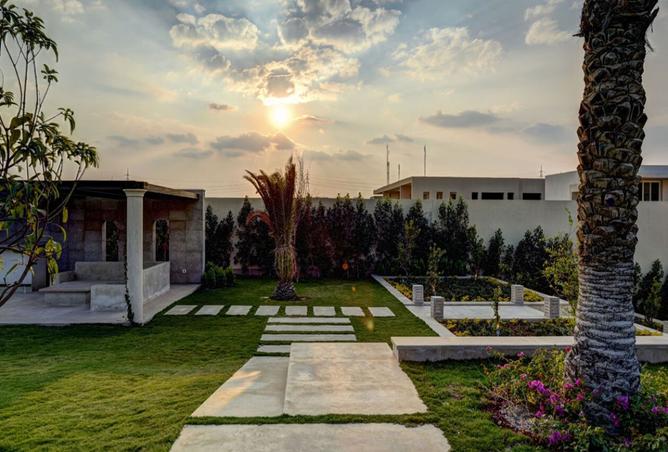 8173934 - صورة العقار 3