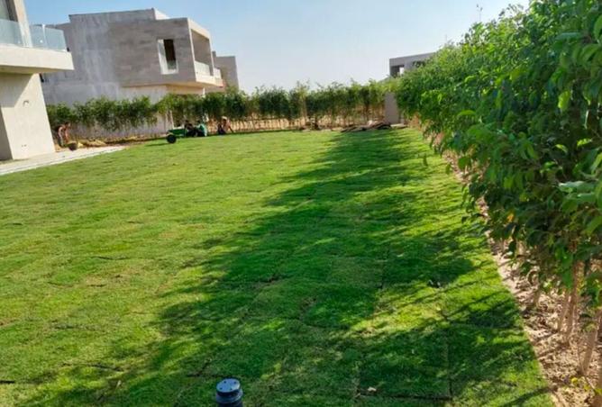 8381530 - Property Image 3