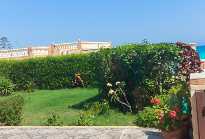 8354841 - صورة العقار 2