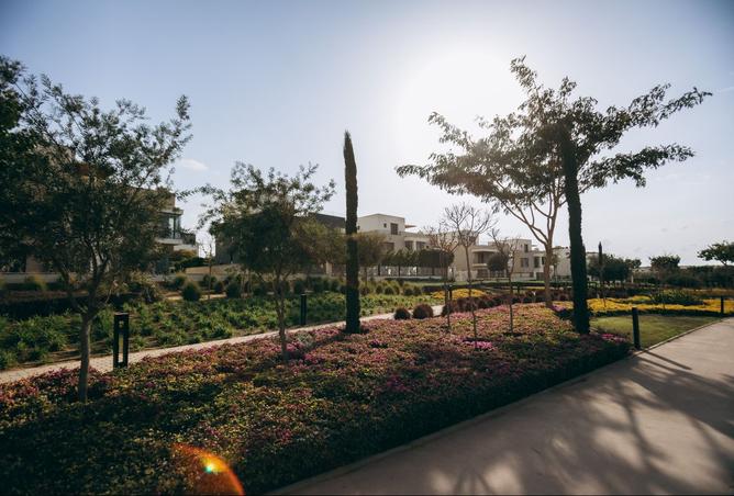 8328751 - Property Image 3