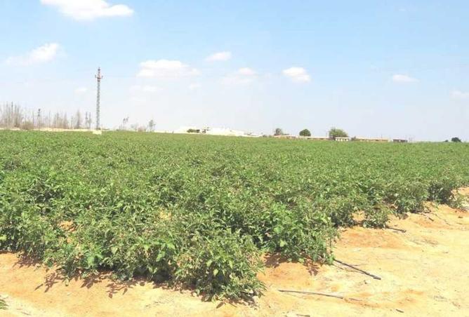 8399515 - Property Image 2