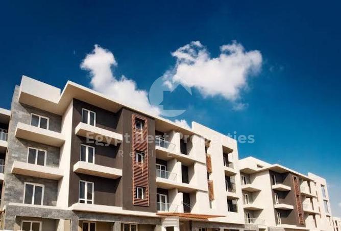 8379790 - Property Image 3