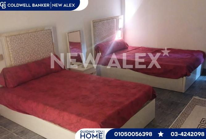 8102868 - Property Image 3
