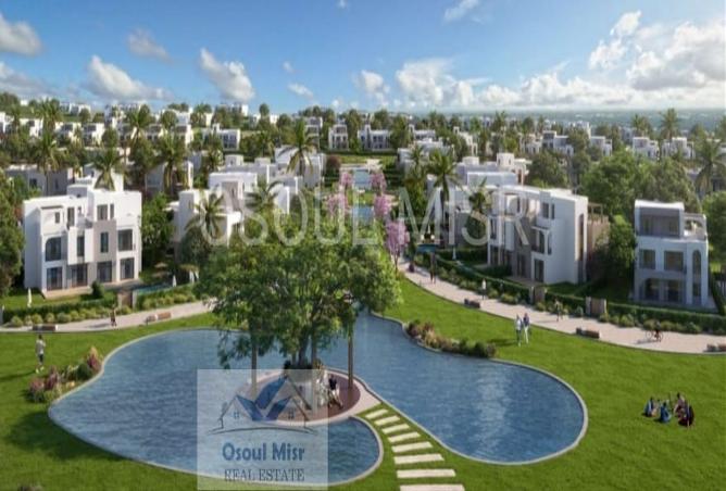 7988393 - Property Image 3