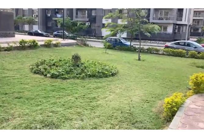 8180727 - Property Image 2