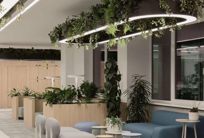 8562937 - الصورة الرئيسية للعقار