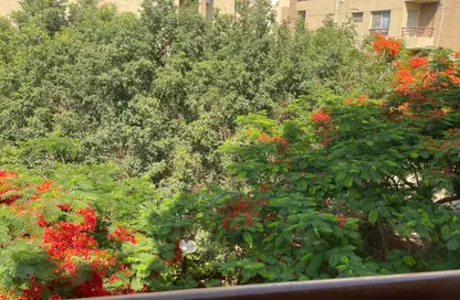 Apartment - 3 Bedrooms - 2 Bathrooms for sale in Madinaty - Cairo