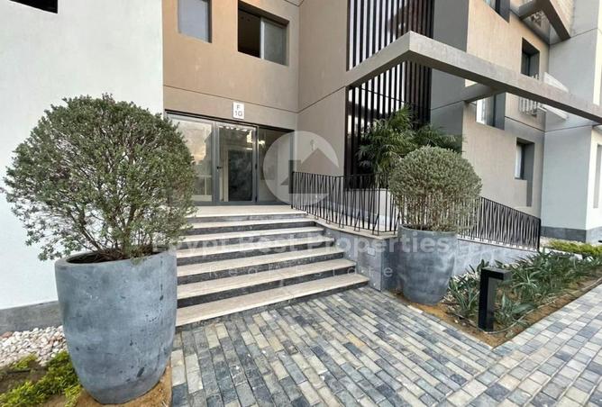 8483778 - Property Image 3