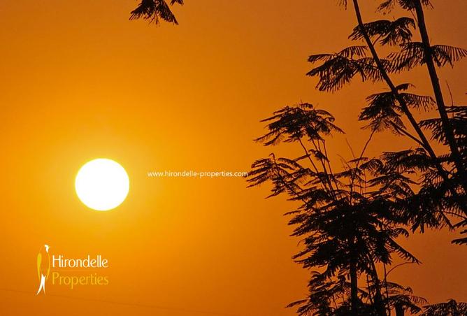 8380654 - صورة العقار 3