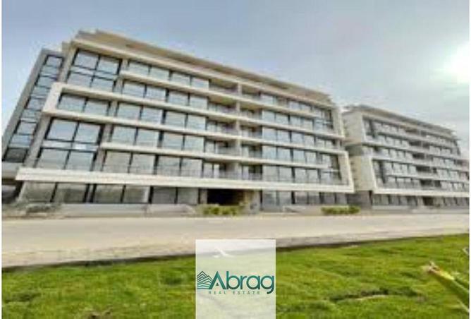 8418333 - Property Image 3