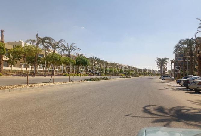 7887505 - صورة العقار 2