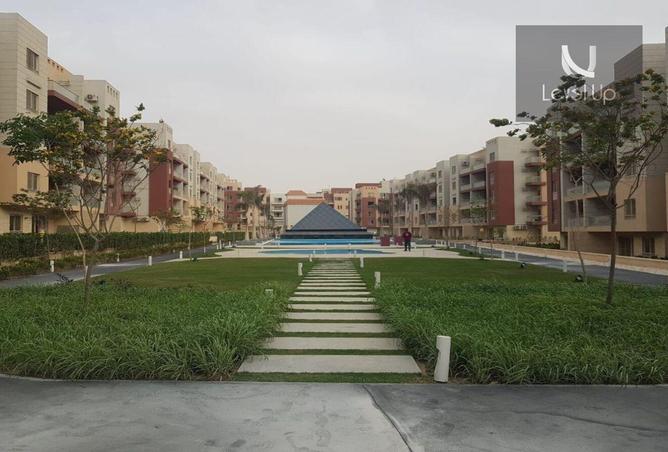 7905779 - صورة العقار 3