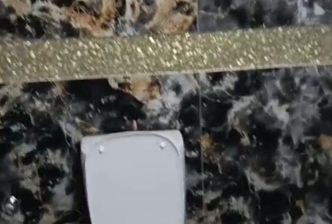 8479613 - Property Image 3