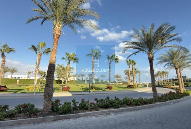 8423587 - Property Image 3