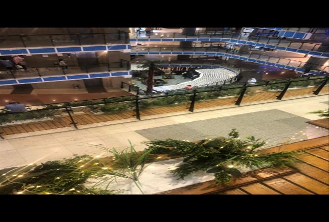 8327229 - Property Image 3