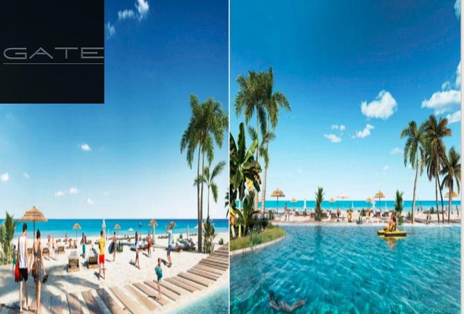 8440543 - Property Image 3