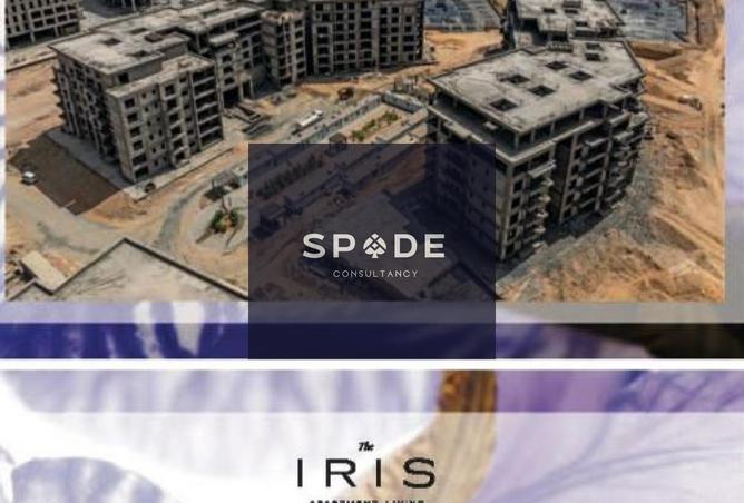 8484140 - Property Image 3