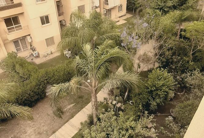 7888391 - Property Image 3