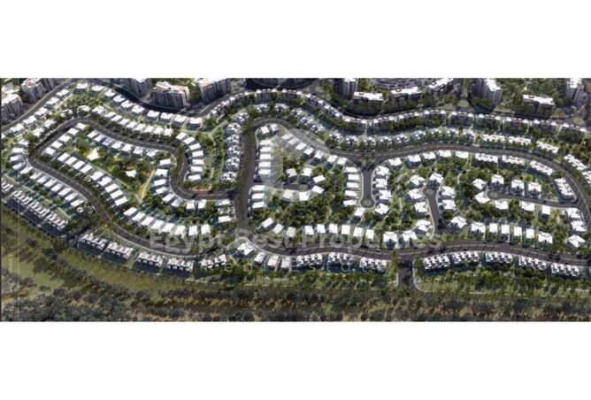 8248834 - Property Image 3