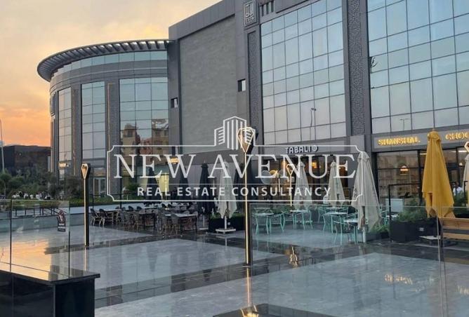 8169600 - Property Image 3