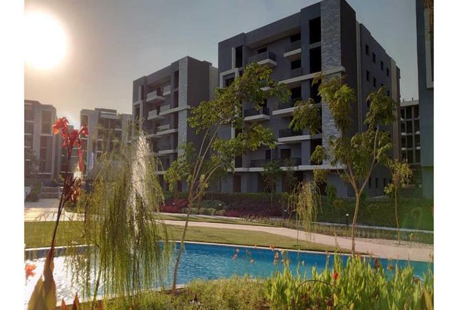 8003962 - Property Image 3