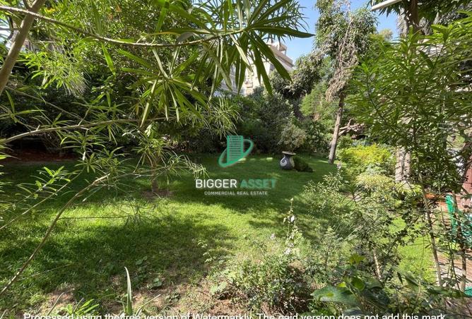 8446513 - صورة العقار 3