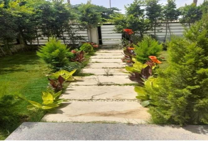 8040459 - صورة العقار 2