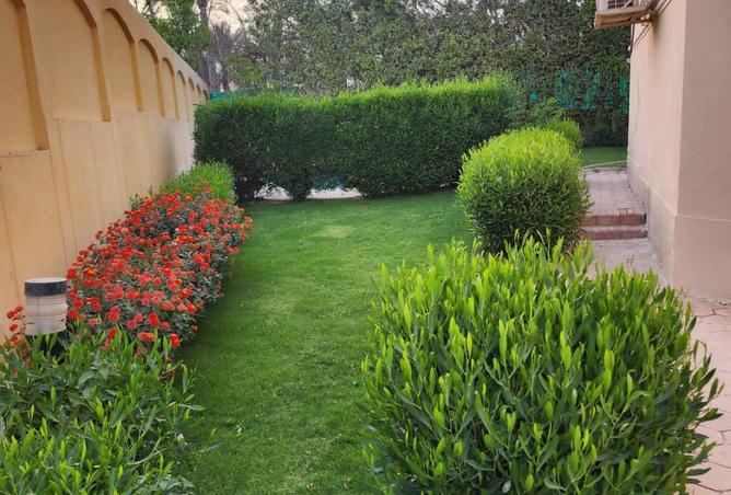 7965548 - صورة العقار 3
