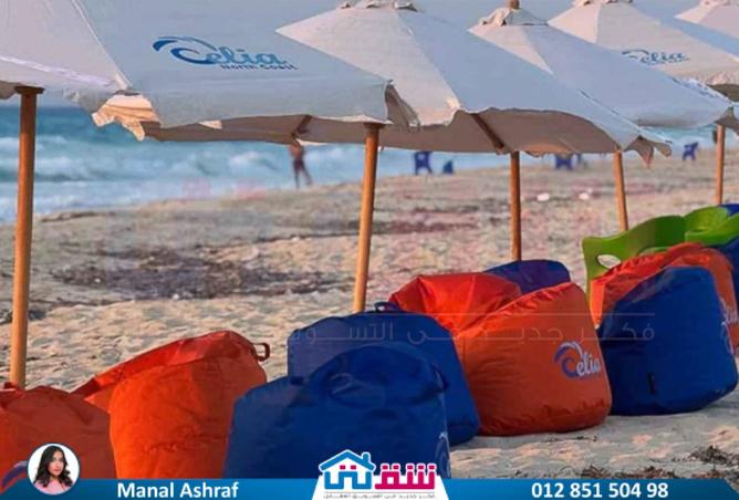 8168368 - صورة العقار 2