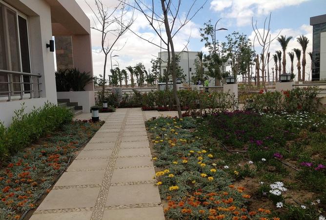 7981683 - الصورة الرئيسية للعقار