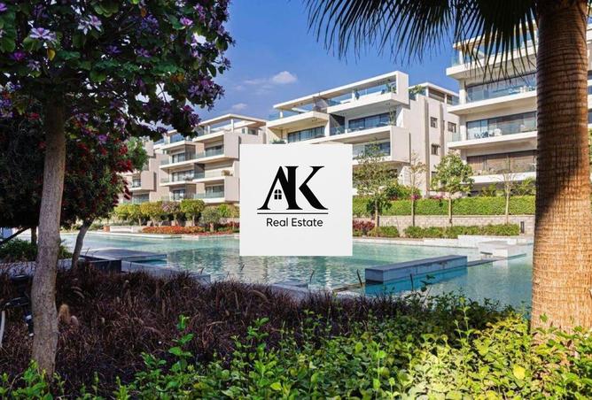 8293277 - Property Image 3