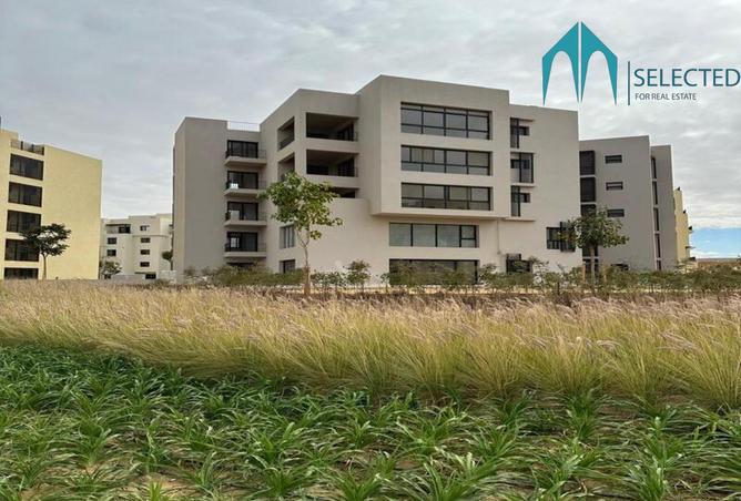 8372087 - صورة العقار 3