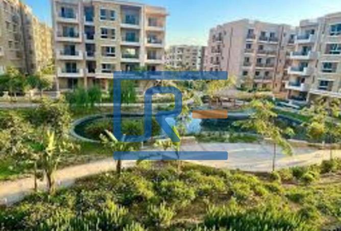 8009936 - Property Image 3