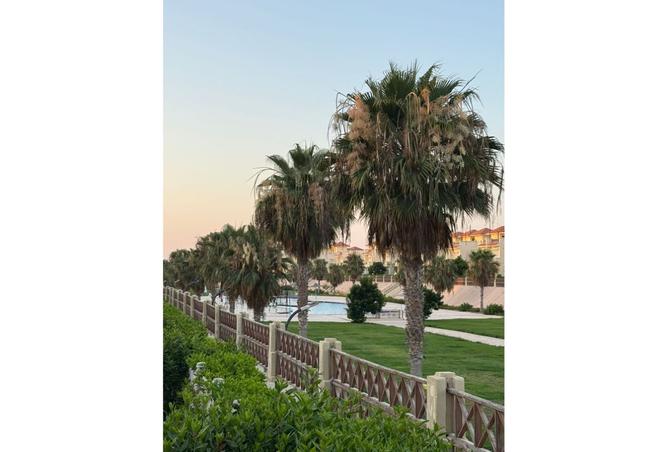 7942394 - Property Image 3